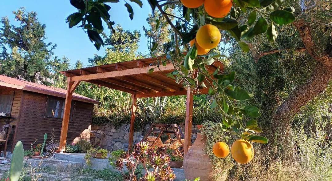 Levantes Garden House - 克拉托坎波斯 外观 照片